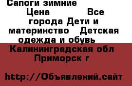 Сапоги зимние Skandia Tex › Цена ­ 1 200 - Все города Дети и материнство » Детская одежда и обувь   . Калининградская обл.,Приморск г.